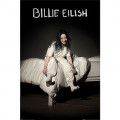 Billie Eilish - When We All Fall Asleep 16