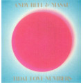 Andy Bell & Masai - Tidal Love Numbers