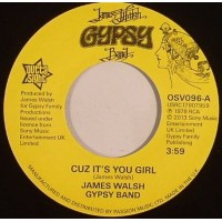 James Walsh Gypsy Band - Cuz Its You Girl
