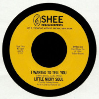 Little Nicky Soul - I Wanted To Tell You