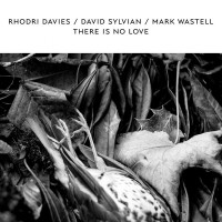 Rhodri Davies / David Sylvian / Mark Wastell - There Is No Love