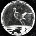 The Black Flamingo - An-Nur