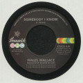 Wales Wallace - Somebody I Know