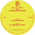 Dj Sy & Unknown - Are You Ready