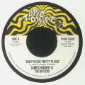 James Knight & The Butlers - Baby Please Pretty Please