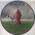 Rush - Signals Picture Disc Edition