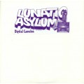 Lunatic Asylum - Digital Cameleon