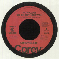 Corey Blake - How Can I Go On Without You
