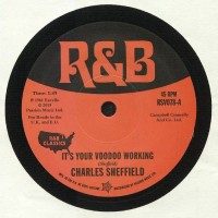 Charles Sheffield - Its Your Voodoo Working