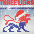Baddiel Skinner & Lightning Seeds - Three Lion (Its Coming Home For Christmas)