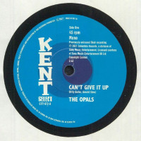 The Opals - Cant Give It Up