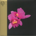 Opeth - Orchid (Half-Speed Mastering Edition)